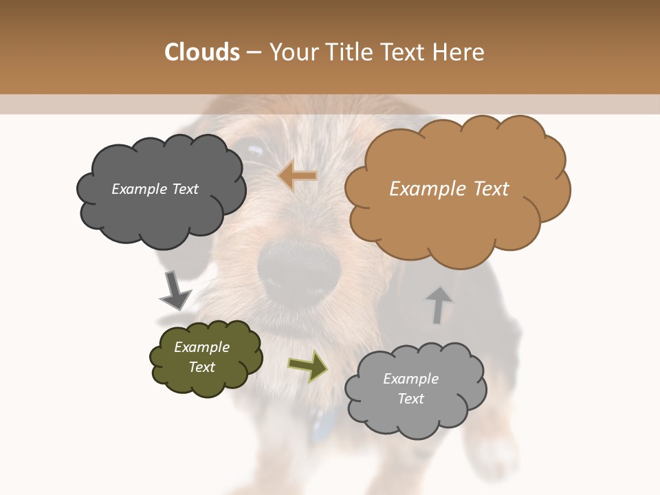 A Cute Mixed Breed Puppy Isolated Over White. The Dog Is Half Beagle And Half Yorkshire Terrier. Shallow Depth Of Field. PowerPoint Template