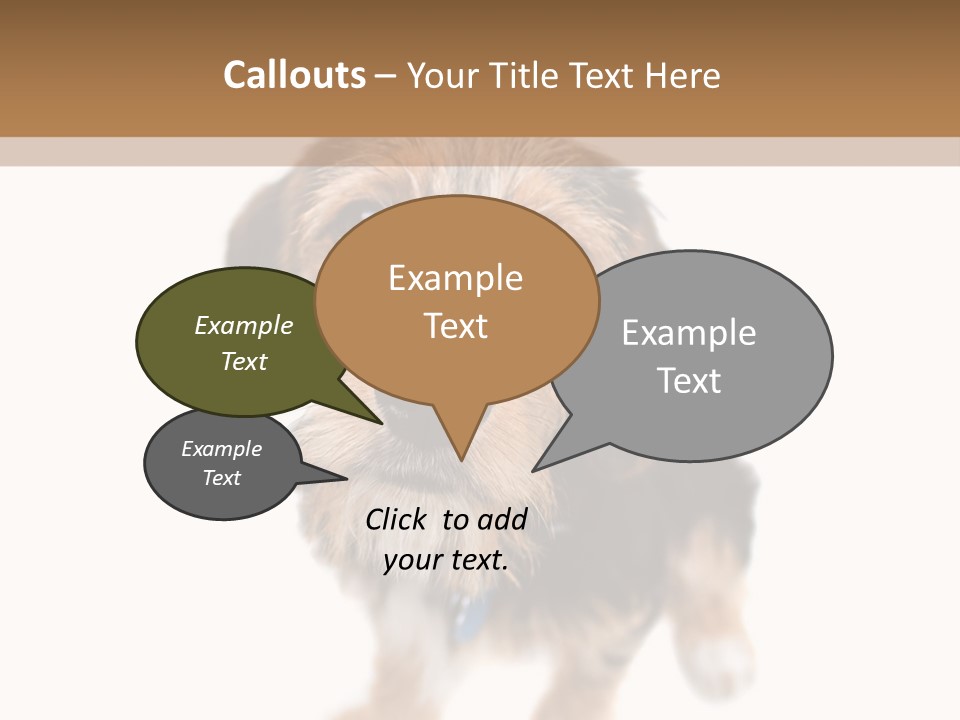 A Cute Mixed Breed Puppy Isolated Over White. The Dog Is Half Beagle And Half Yorkshire Terrier. Shallow Depth Of Field. PowerPoint Template