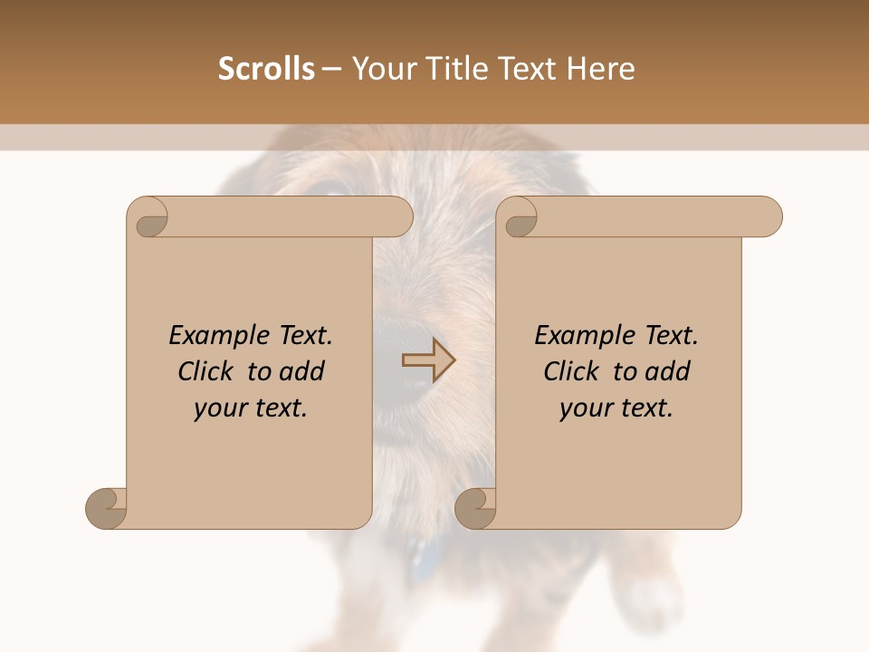 A Cute Mixed Breed Puppy Isolated Over White. The Dog Is Half Beagle And Half Yorkshire Terrier. Shallow Depth Of Field. PowerPoint Template