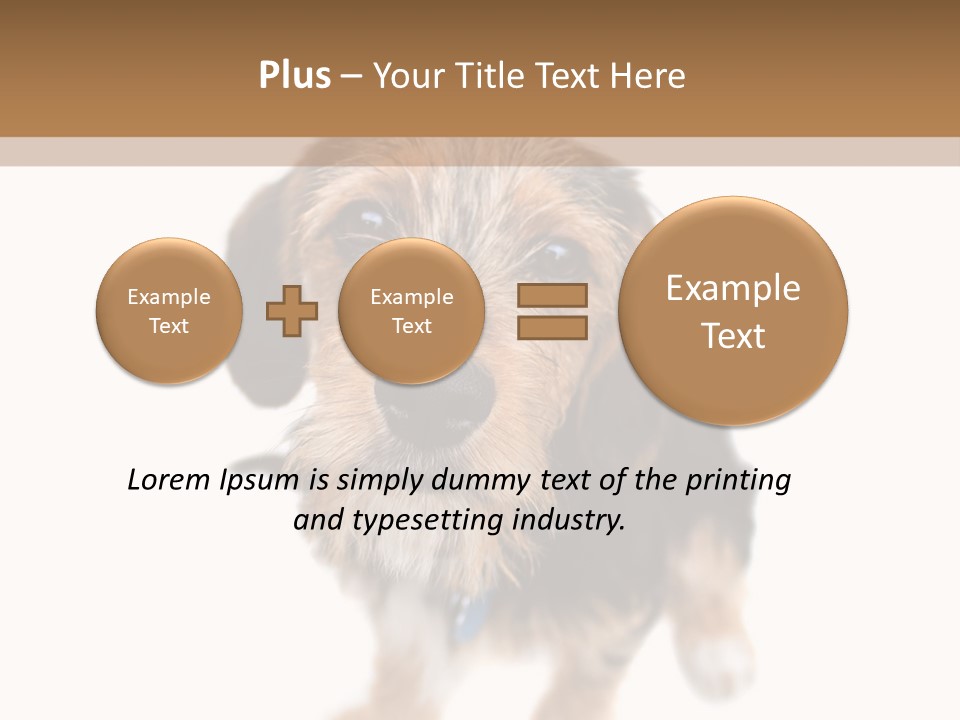 A Cute Mixed Breed Puppy Isolated Over White. The Dog Is Half Beagle And Half Yorkshire Terrier. Shallow Depth Of Field. PowerPoint Template