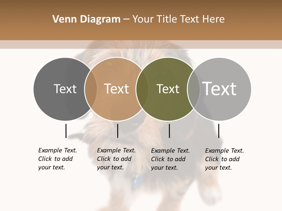 A Cute Mixed Breed Puppy Isolated Over White. The Dog Is Half Beagle And Half Yorkshire Terrier. Shallow Depth Of Field. PowerPoint Template