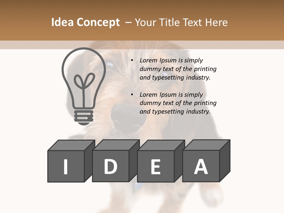 A Cute Mixed Breed Puppy Isolated Over White. The Dog Is Half Beagle And Half Yorkshire Terrier. Shallow Depth Of Field. PowerPoint Template