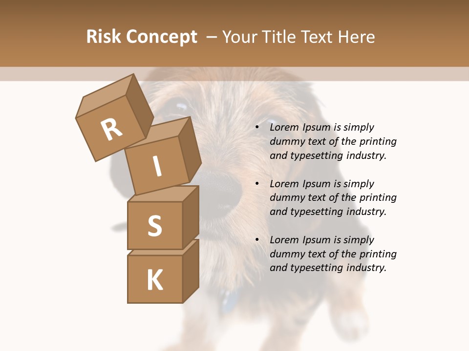 A Cute Mixed Breed Puppy Isolated Over White. The Dog Is Half Beagle And Half Yorkshire Terrier. Shallow Depth Of Field. PowerPoint Template