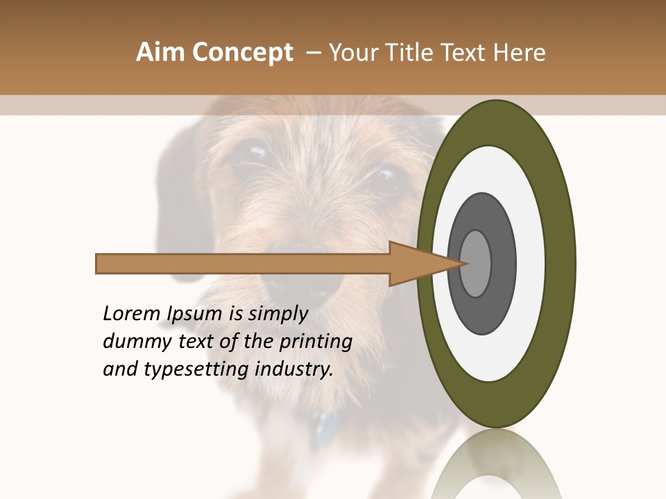 A Cute Mixed Breed Puppy Isolated Over White. The Dog Is Half Beagle And Half Yorkshire Terrier. Shallow Depth Of Field. PowerPoint Template