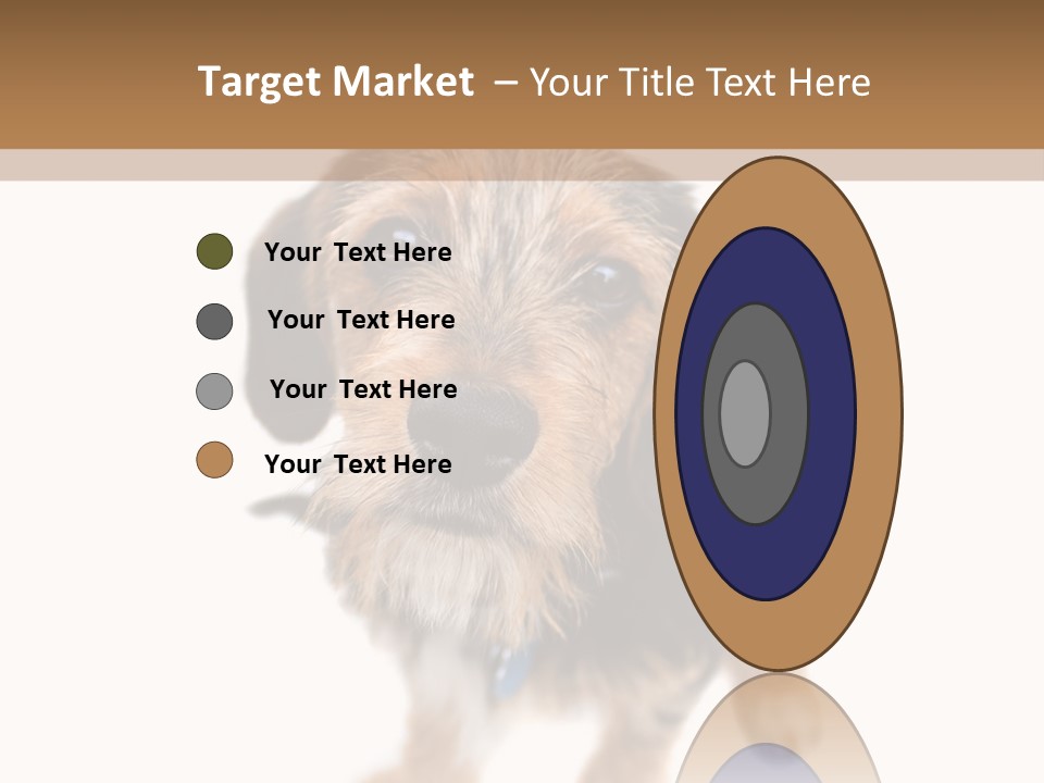 A Cute Mixed Breed Puppy Isolated Over White. The Dog Is Half Beagle And Half Yorkshire Terrier. Shallow Depth Of Field. PowerPoint Template