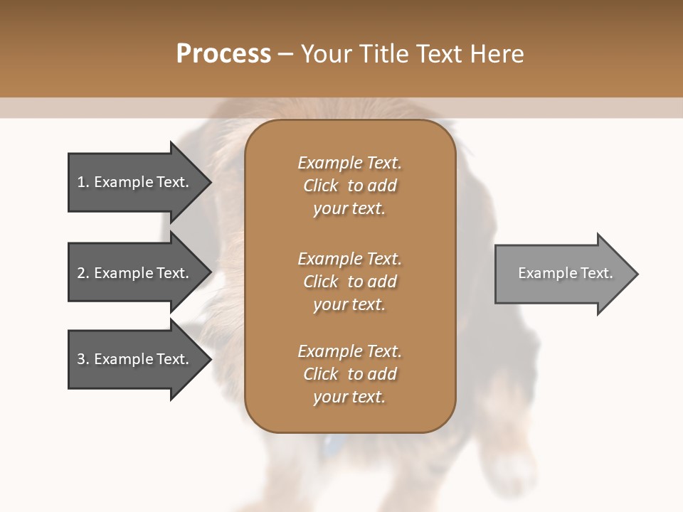 A Cute Mixed Breed Puppy Isolated Over White. The Dog Is Half Beagle And Half Yorkshire Terrier. Shallow Depth Of Field. PowerPoint Template