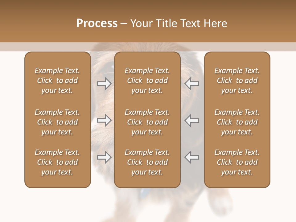 A Cute Mixed Breed Puppy Isolated Over White. The Dog Is Half Beagle And Half Yorkshire Terrier. Shallow Depth Of Field. PowerPoint Template