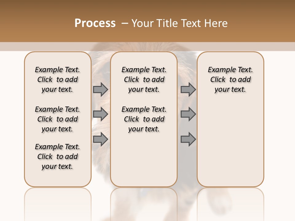 A Cute Mixed Breed Puppy Isolated Over White. The Dog Is Half Beagle And Half Yorkshire Terrier. Shallow Depth Of Field. PowerPoint Template