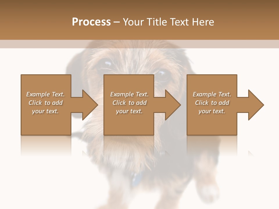 A Cute Mixed Breed Puppy Isolated Over White. The Dog Is Half Beagle And Half Yorkshire Terrier. Shallow Depth Of Field. PowerPoint Template