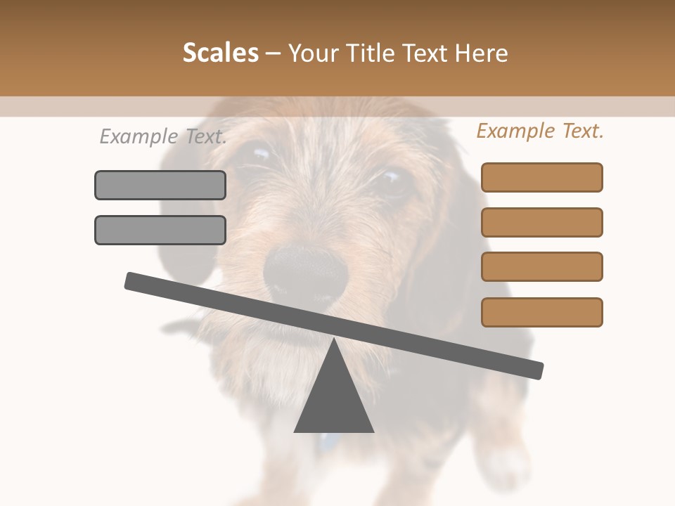 A Cute Mixed Breed Puppy Isolated Over White. The Dog Is Half Beagle And Half Yorkshire Terrier. Shallow Depth Of Field. PowerPoint Template