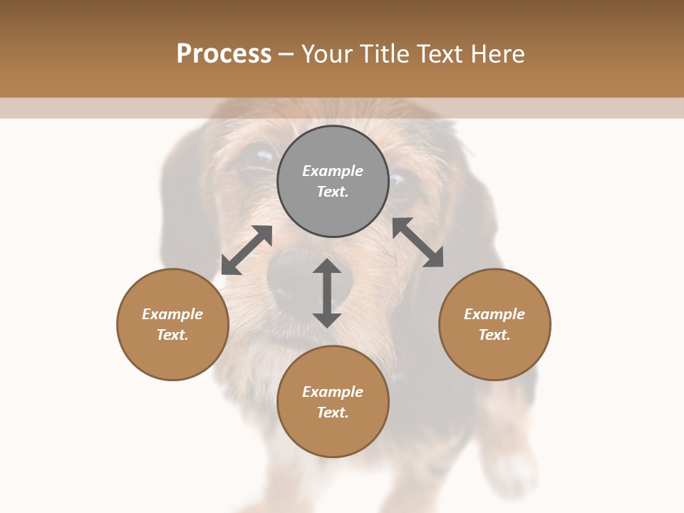 A Cute Mixed Breed Puppy Isolated Over White. The Dog Is Half Beagle And Half Yorkshire Terrier. Shallow Depth Of Field. PowerPoint Template