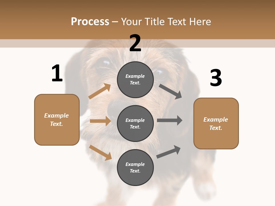 A Cute Mixed Breed Puppy Isolated Over White. The Dog Is Half Beagle And Half Yorkshire Terrier. Shallow Depth Of Field. PowerPoint Template