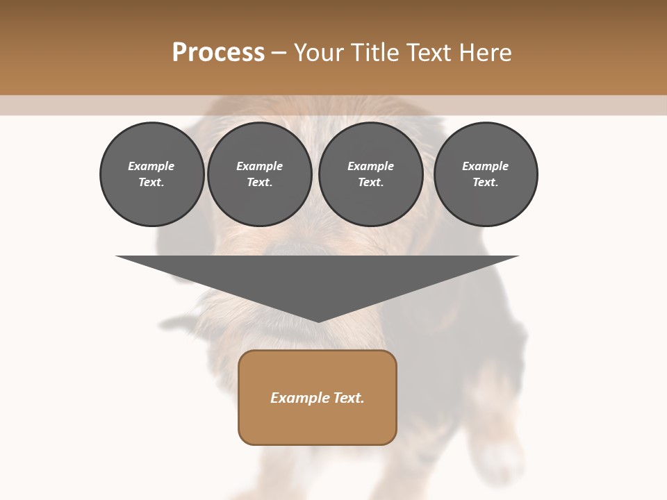 A Cute Mixed Breed Puppy Isolated Over White. The Dog Is Half Beagle And Half Yorkshire Terrier. Shallow Depth Of Field. PowerPoint Template