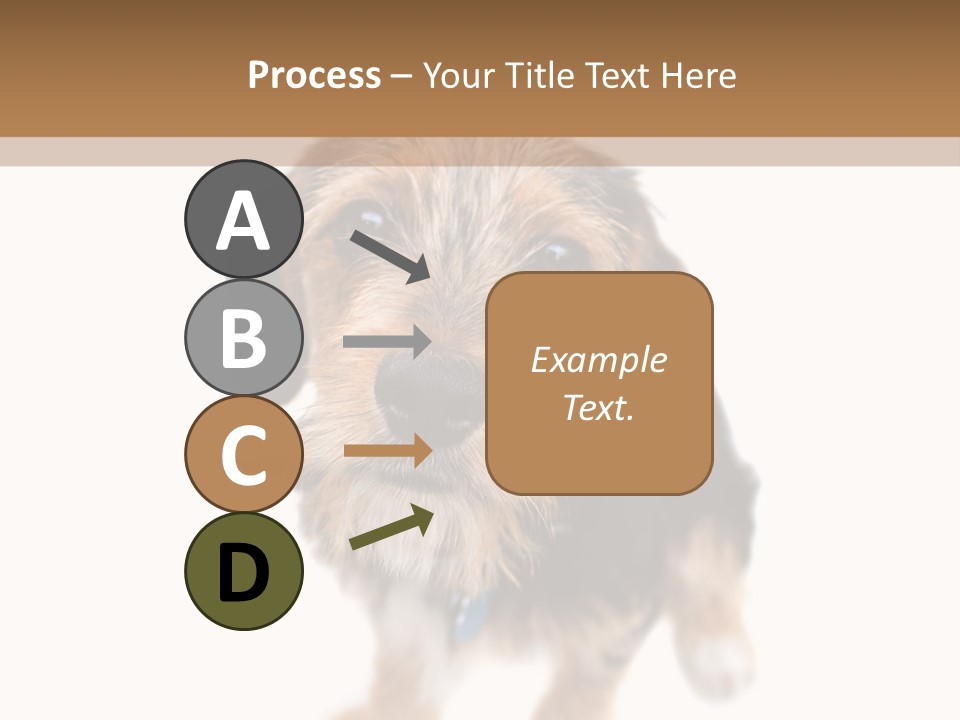 A Cute Mixed Breed Puppy Isolated Over White. The Dog Is Half Beagle And Half Yorkshire Terrier. Shallow Depth Of Field. PowerPoint Template