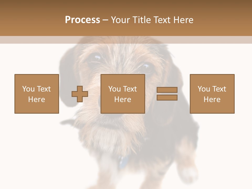 A Cute Mixed Breed Puppy Isolated Over White. The Dog Is Half Beagle And Half Yorkshire Terrier. Shallow Depth Of Field. PowerPoint Template