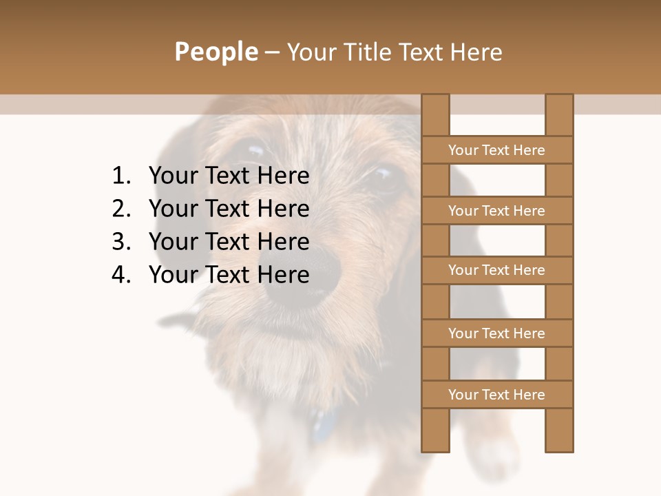 A Cute Mixed Breed Puppy Isolated Over White. The Dog Is Half Beagle And Half Yorkshire Terrier. Shallow Depth Of Field. PowerPoint Template