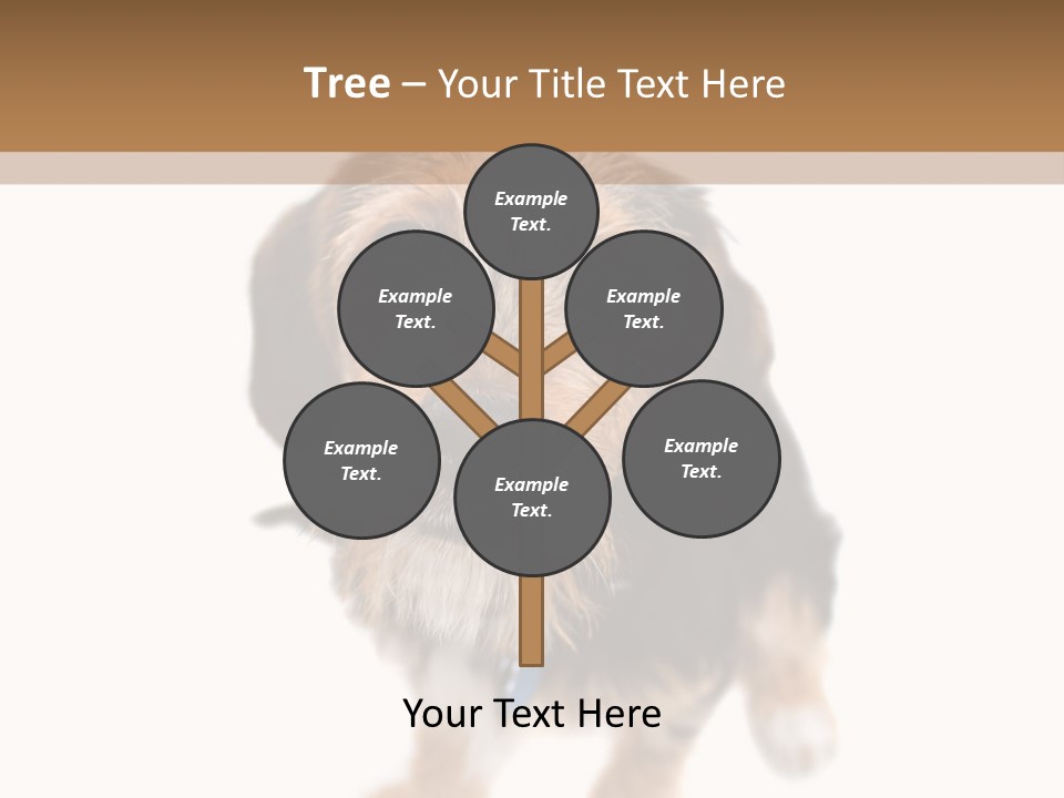 A Cute Mixed Breed Puppy Isolated Over White. The Dog Is Half Beagle And Half Yorkshire Terrier. Shallow Depth Of Field. PowerPoint Template