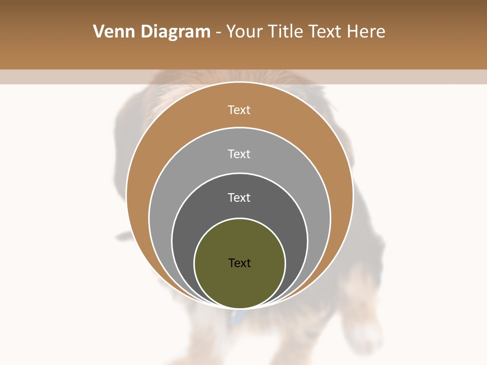 A Cute Mixed Breed Puppy Isolated Over White. The Dog Is Half Beagle And Half Yorkshire Terrier. Shallow Depth Of Field. PowerPoint Template