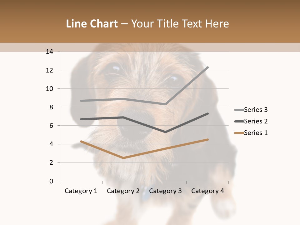 A Cute Mixed Breed Puppy Isolated Over White. The Dog Is Half Beagle And Half Yorkshire Terrier. Shallow Depth Of Field. PowerPoint Template