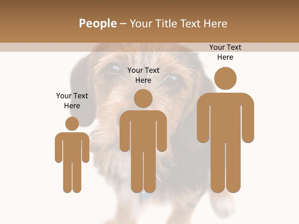 A Cute Mixed Breed Puppy Isolated Over White. The Dog Is Half Beagle And Half Yorkshire Terrier. Shallow Depth Of Field. PowerPoint Template