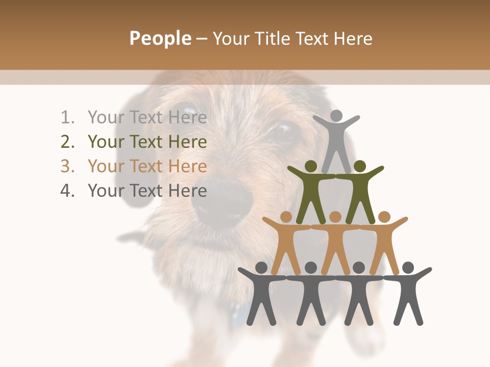 A Cute Mixed Breed Puppy Isolated Over White. The Dog Is Half Beagle And Half Yorkshire Terrier. Shallow Depth Of Field. PowerPoint Template