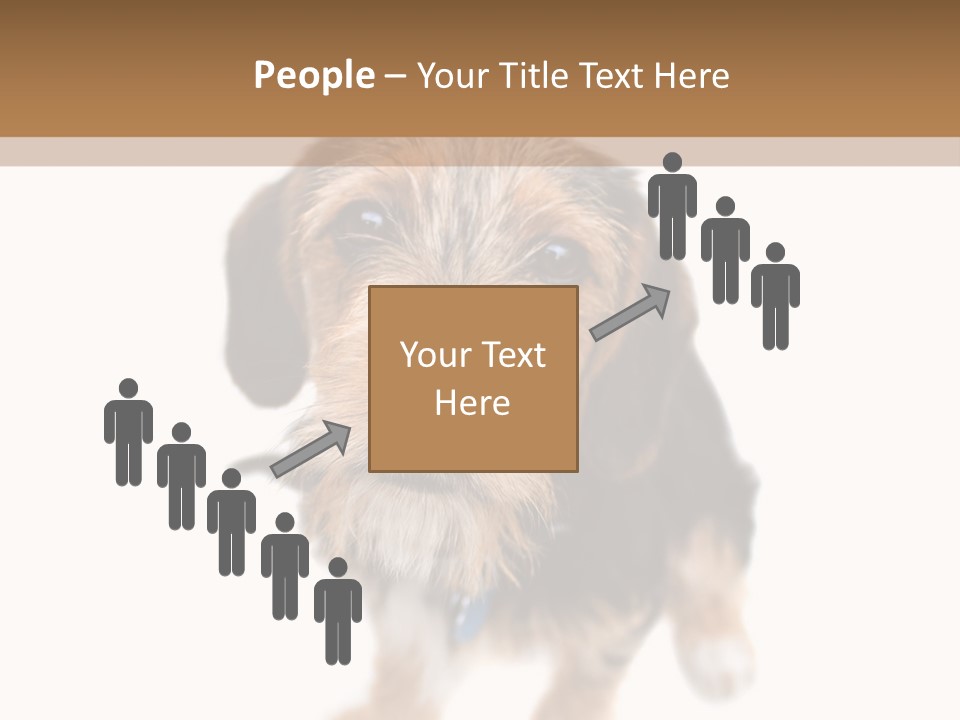 A Cute Mixed Breed Puppy Isolated Over White. The Dog Is Half Beagle And Half Yorkshire Terrier. Shallow Depth Of Field. PowerPoint Template