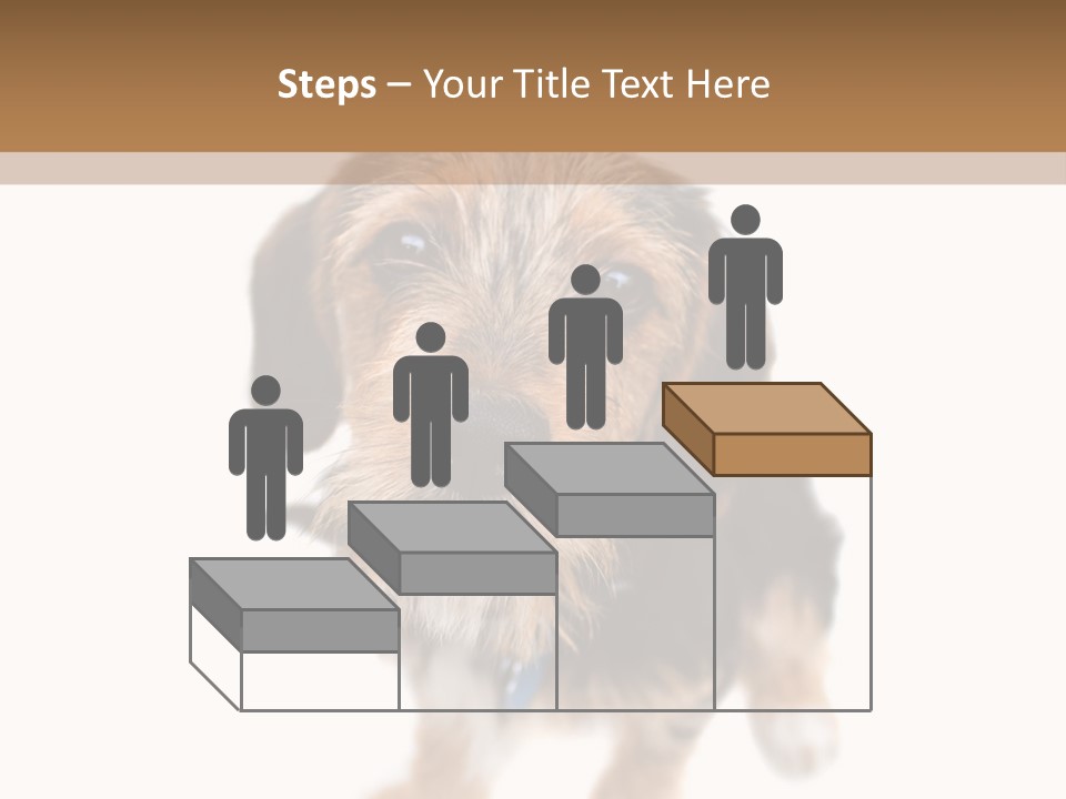 A Cute Mixed Breed Puppy Isolated Over White. The Dog Is Half Beagle And Half Yorkshire Terrier. Shallow Depth Of Field. PowerPoint Template