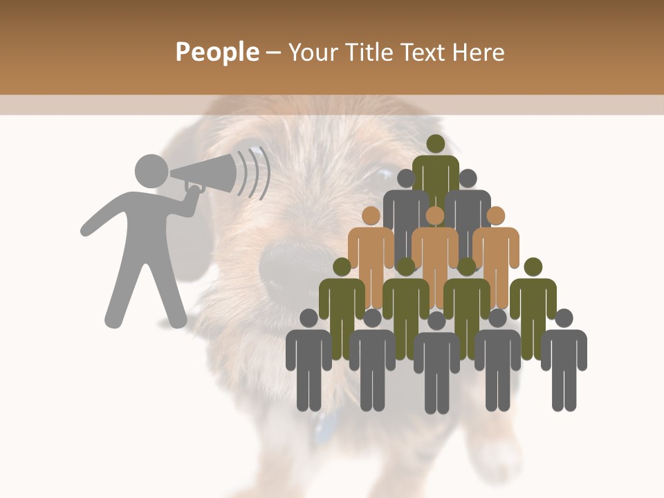 A Cute Mixed Breed Puppy Isolated Over White. The Dog Is Half Beagle And Half Yorkshire Terrier. Shallow Depth Of Field. PowerPoint Template