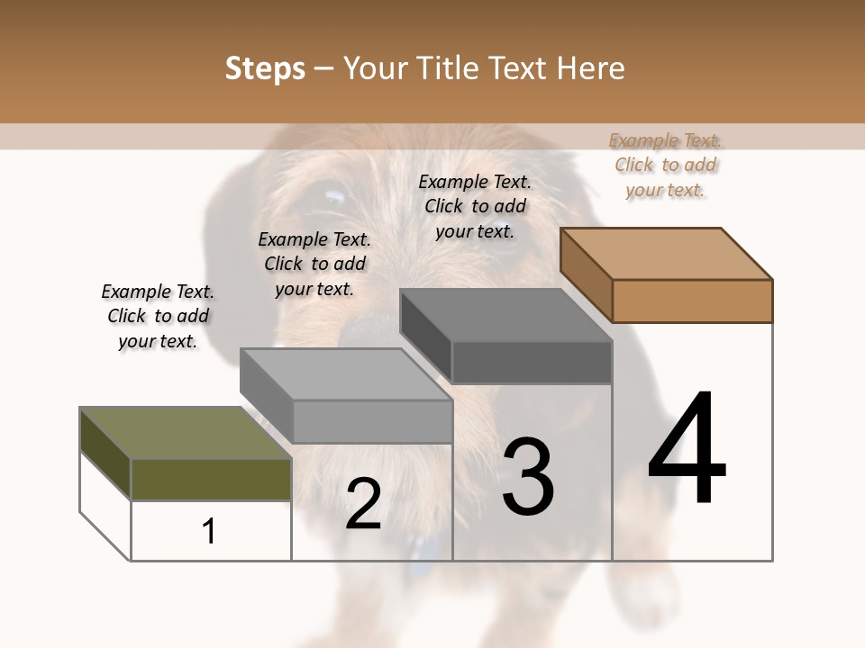 A Cute Mixed Breed Puppy Isolated Over White. The Dog Is Half Beagle And Half Yorkshire Terrier. Shallow Depth Of Field. PowerPoint Template