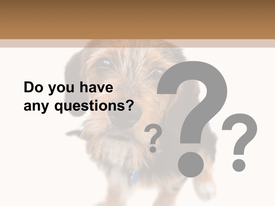 A Cute Mixed Breed Puppy Isolated Over White. The Dog Is Half Beagle And Half Yorkshire Terrier. Shallow Depth Of Field. PowerPoint Template