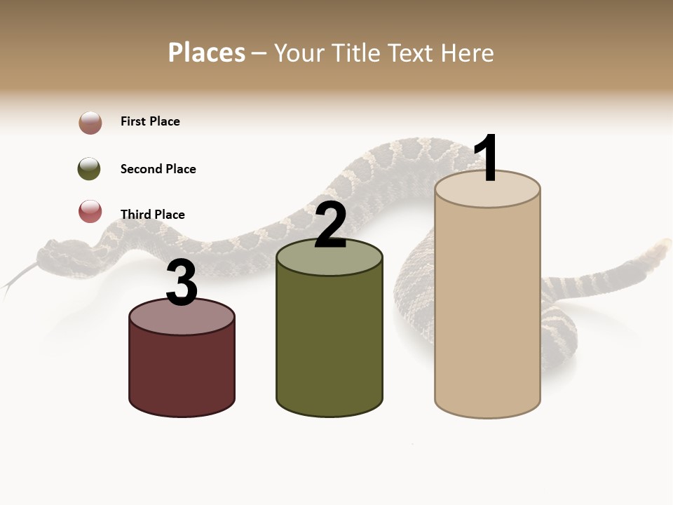 Northern Pacific Rattlesnake (Crotalus Oreganus) Isolated On White Background. PowerPoint Template