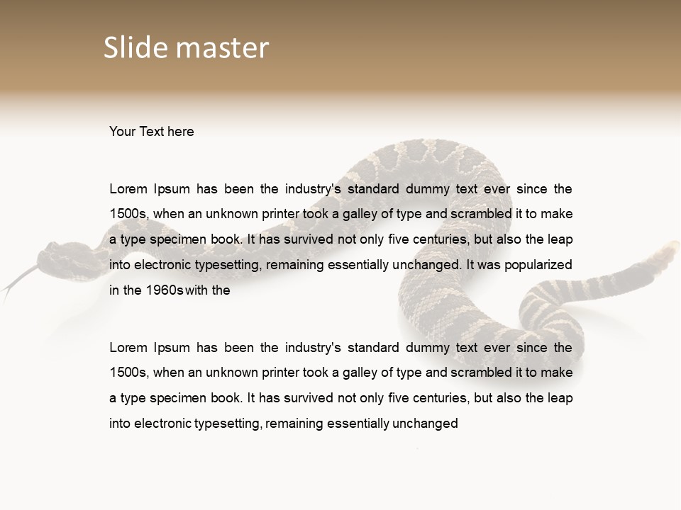 Northern Pacific Rattlesnake (Crotalus Oreganus) Isolated On White Background. PowerPoint Template