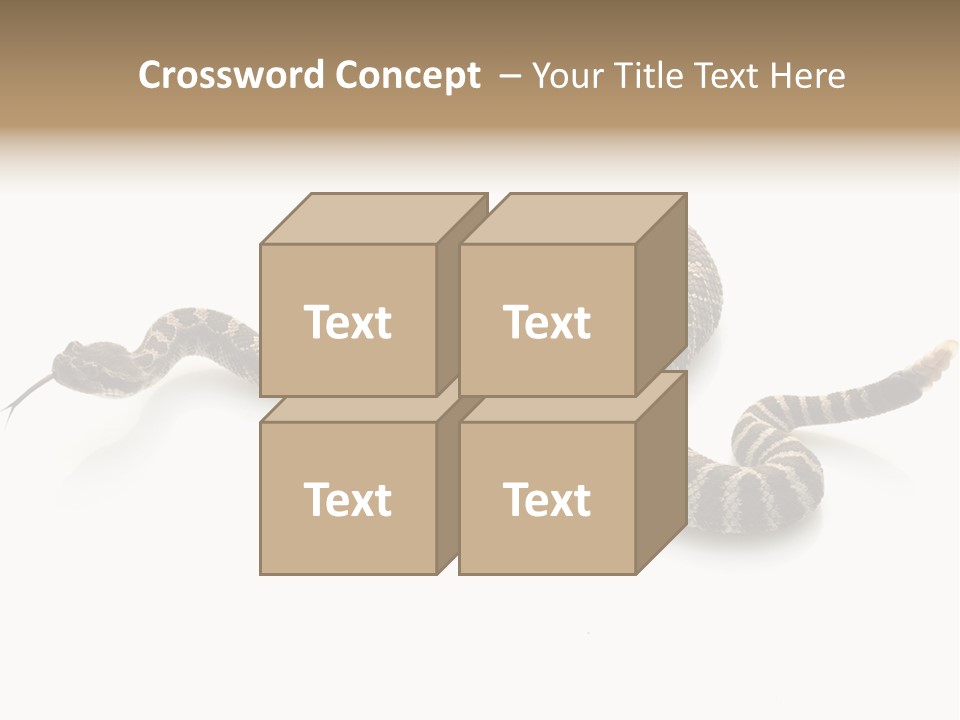 Northern Pacific Rattlesnake (Crotalus Oreganus) Isolated On White Background. PowerPoint Template