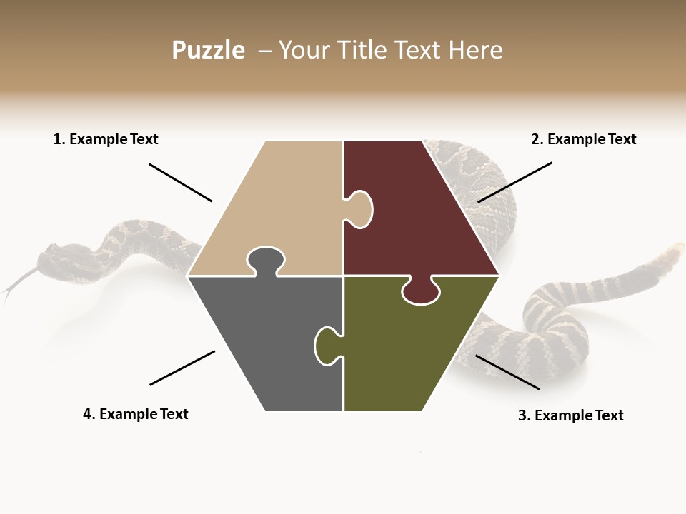 Northern Pacific Rattlesnake (Crotalus Oreganus) Isolated On White Background. PowerPoint Template