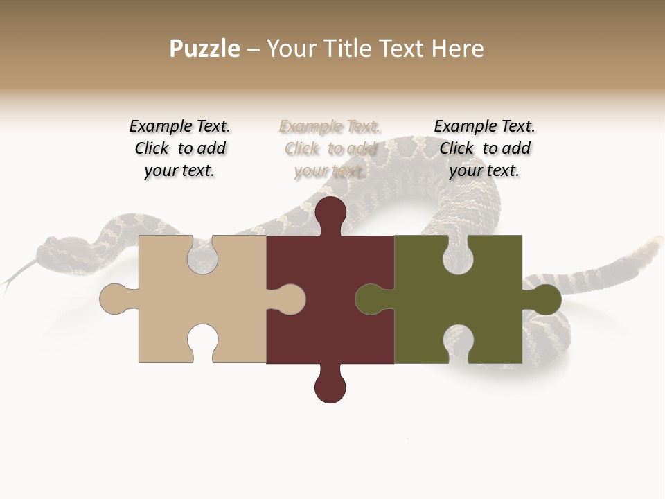 Northern Pacific Rattlesnake (Crotalus Oreganus) Isolated On White Background. PowerPoint Template