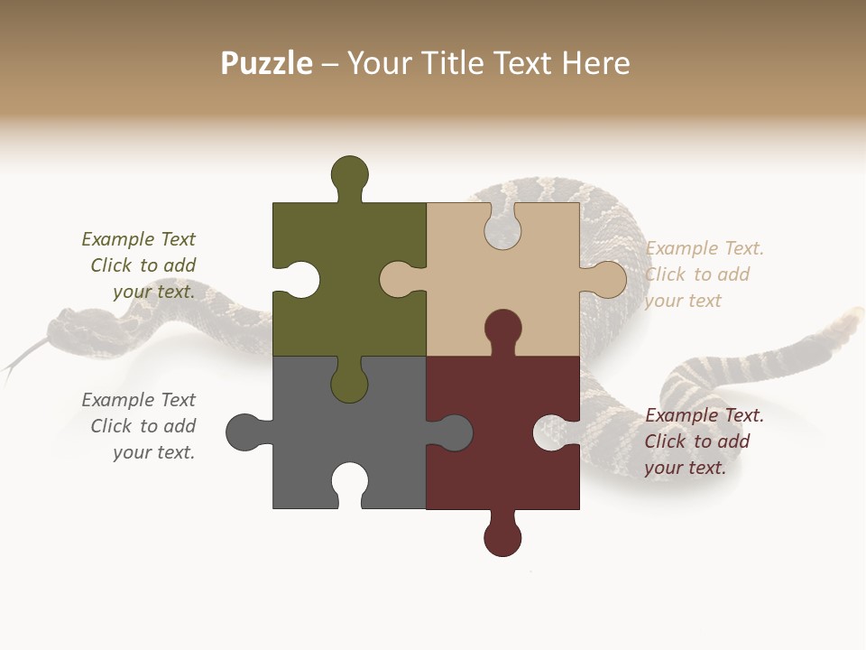 Northern Pacific Rattlesnake (Crotalus Oreganus) Isolated On White Background. PowerPoint Template