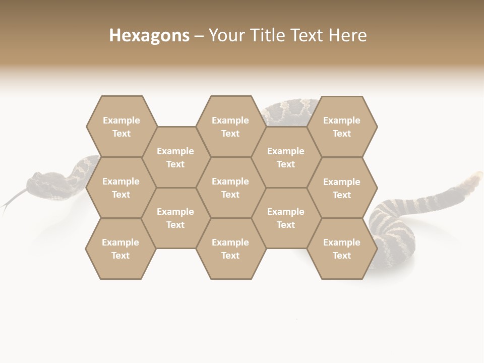 Northern Pacific Rattlesnake (Crotalus Oreganus) Isolated On White Background. PowerPoint Template