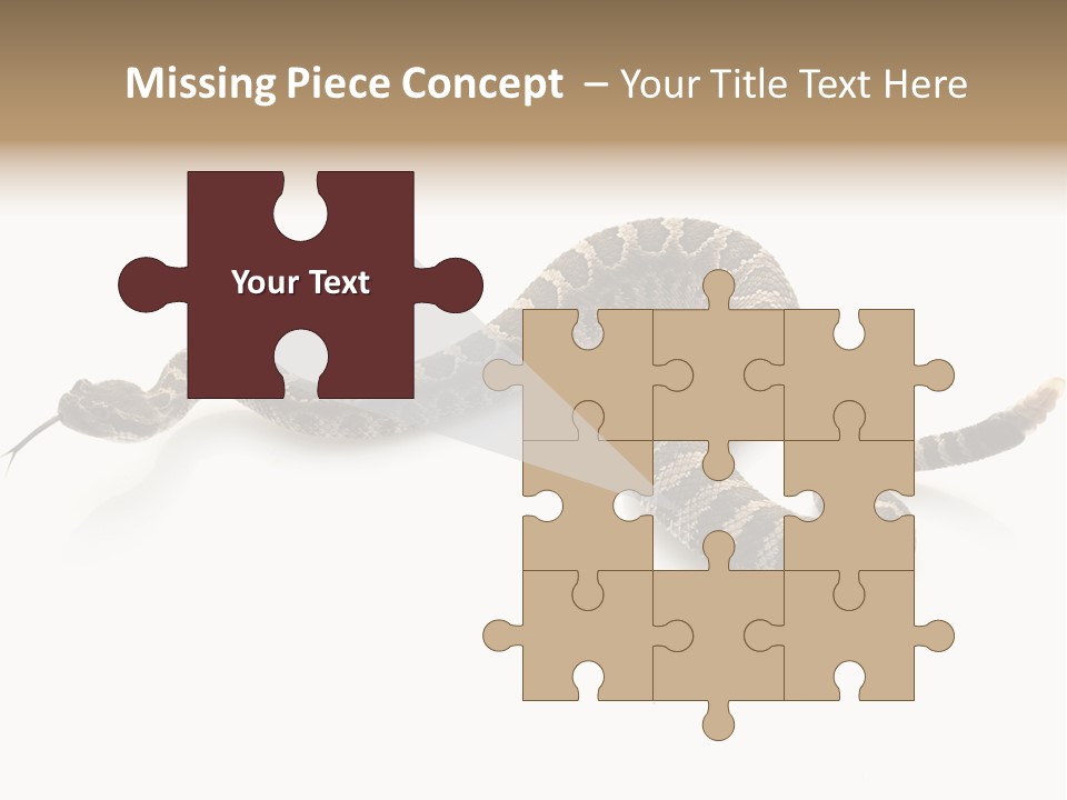 Northern Pacific Rattlesnake (Crotalus Oreganus) Isolated On White Background. PowerPoint Template