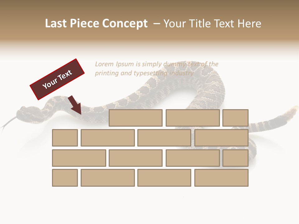 Northern Pacific Rattlesnake (Crotalus Oreganus) Isolated On White Background. PowerPoint Template