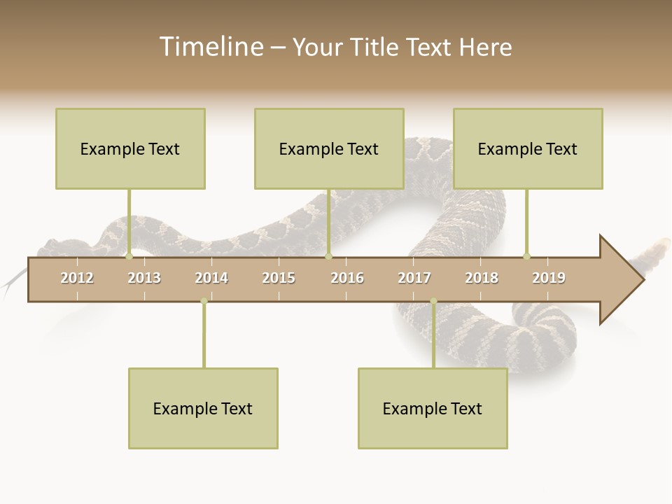 Northern Pacific Rattlesnake (Crotalus Oreganus) Isolated On White Background. PowerPoint Template