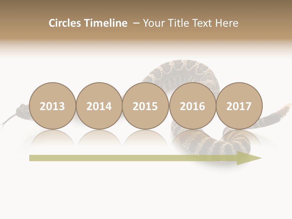 Northern Pacific Rattlesnake (Crotalus Oreganus) Isolated On White Background. PowerPoint Template