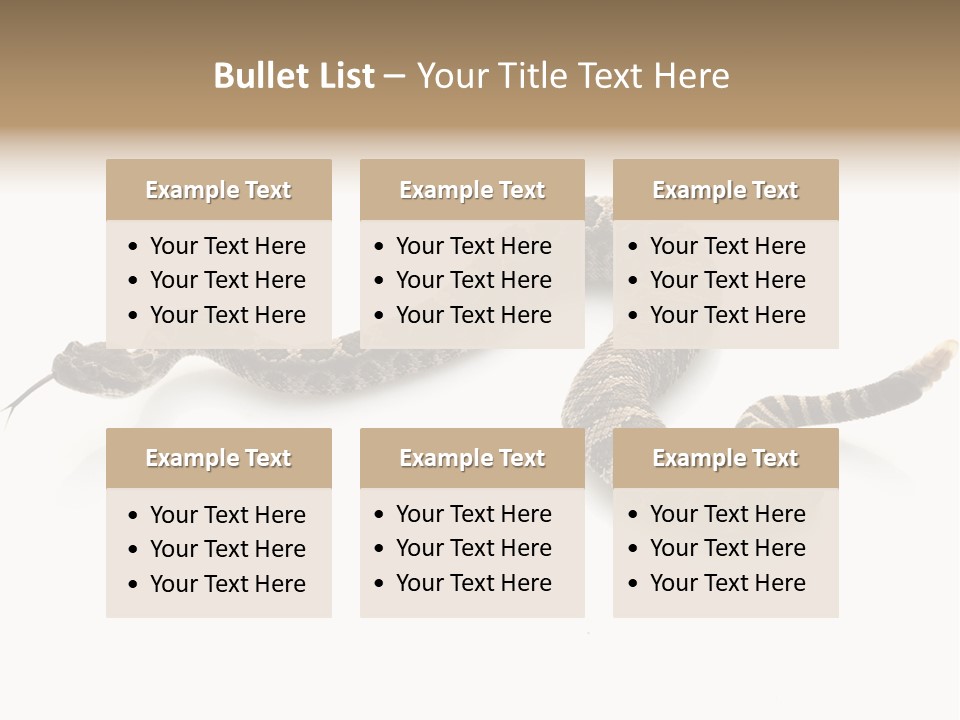 Northern Pacific Rattlesnake (Crotalus Oreganus) Isolated On White Background. PowerPoint Template