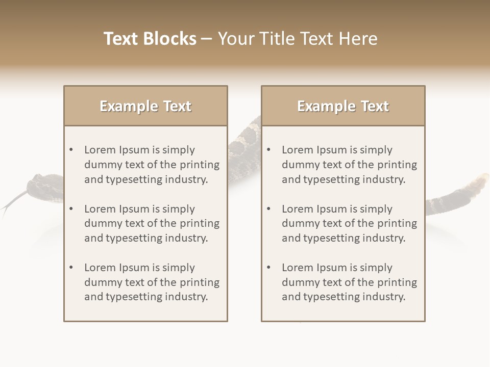 Northern Pacific Rattlesnake (Crotalus Oreganus) Isolated On White Background. PowerPoint Template
