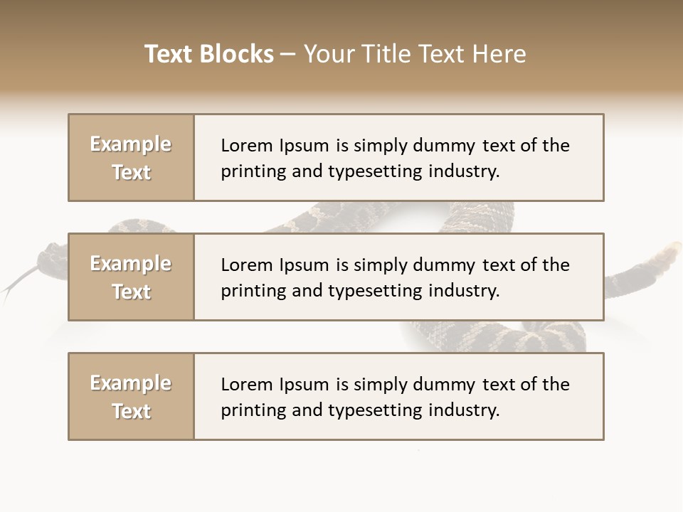 Northern Pacific Rattlesnake (Crotalus Oreganus) Isolated On White Background. PowerPoint Template