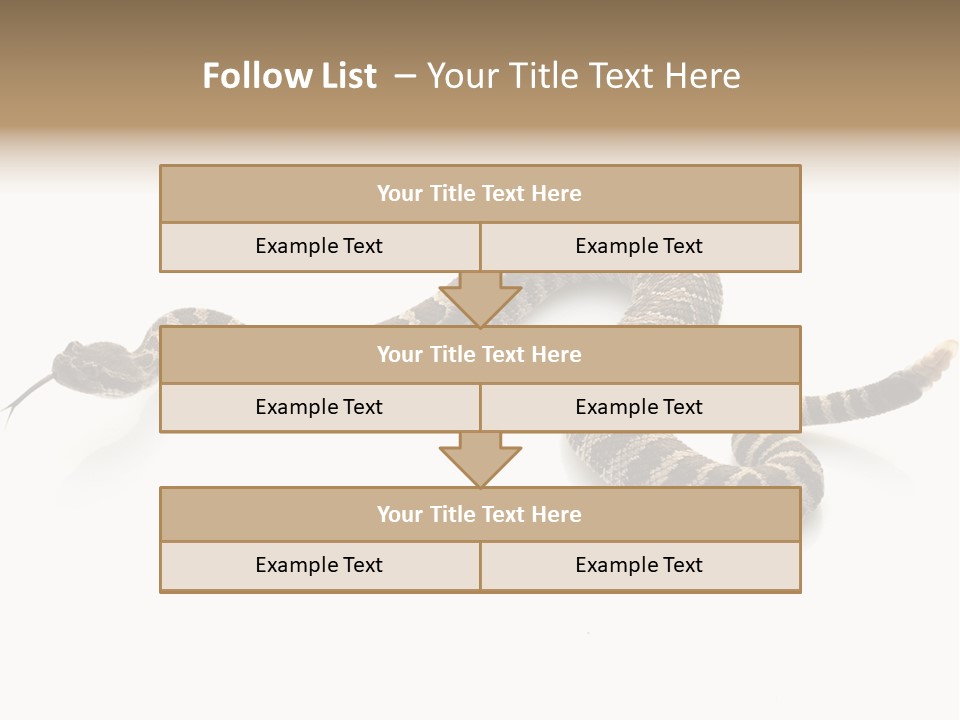 Northern Pacific Rattlesnake (Crotalus Oreganus) Isolated On White Background. PowerPoint Template