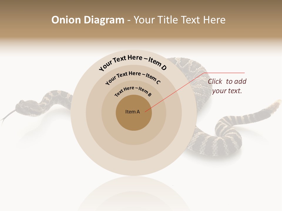 Northern Pacific Rattlesnake (Crotalus Oreganus) Isolated On White Background. PowerPoint Template