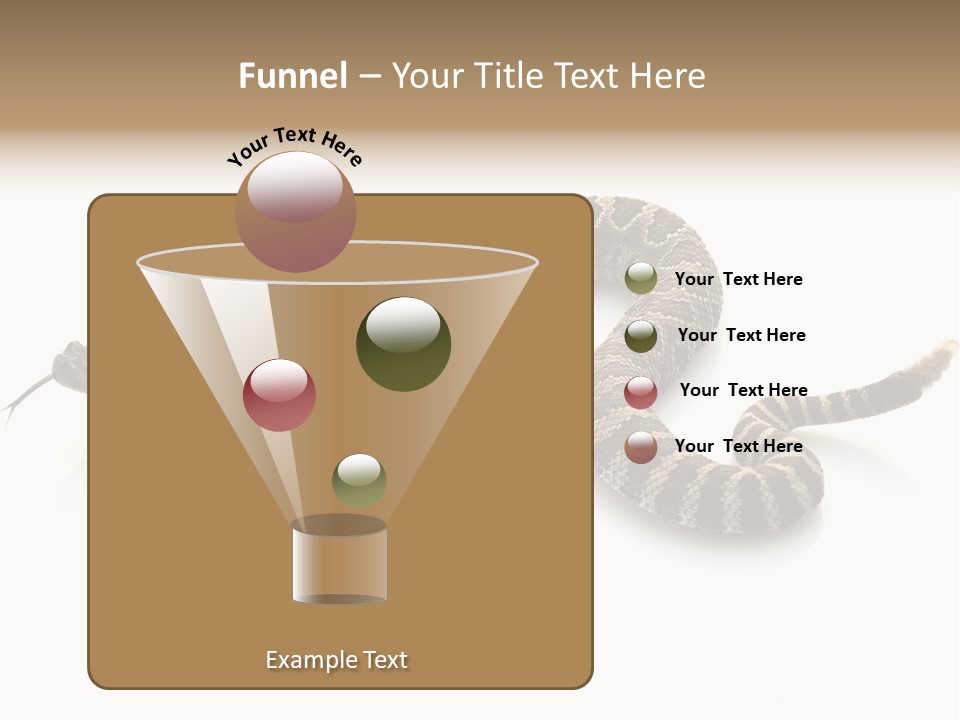 Northern Pacific Rattlesnake (Crotalus Oreganus) Isolated On White Background. PowerPoint Template