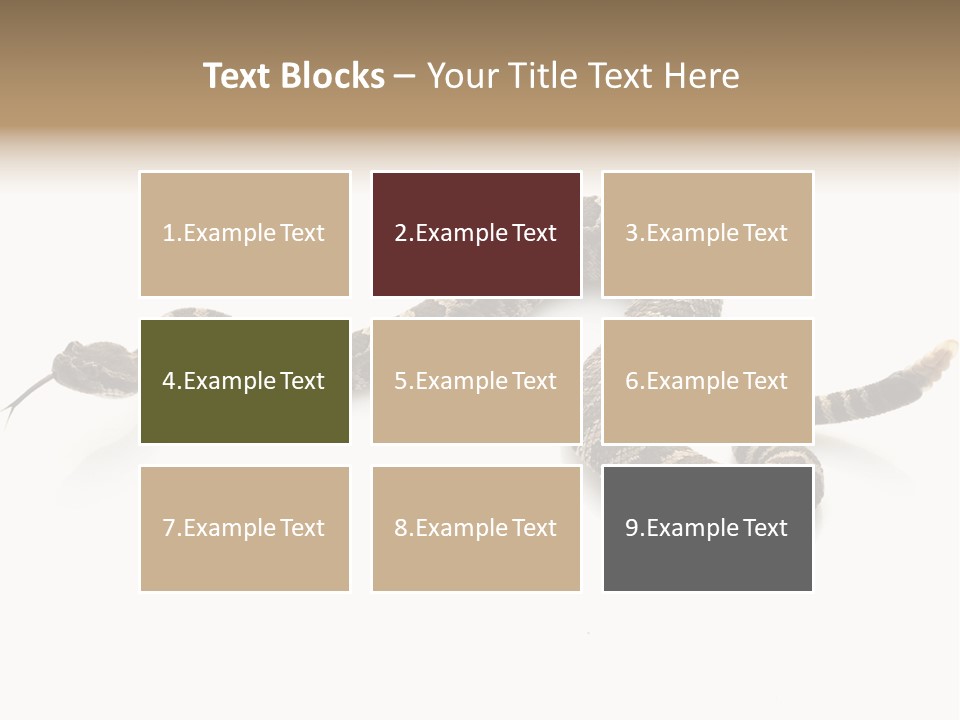 Northern Pacific Rattlesnake (Crotalus Oreganus) Isolated On White Background. PowerPoint Template