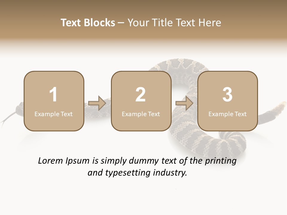 Northern Pacific Rattlesnake (Crotalus Oreganus) Isolated On White Background. PowerPoint Template