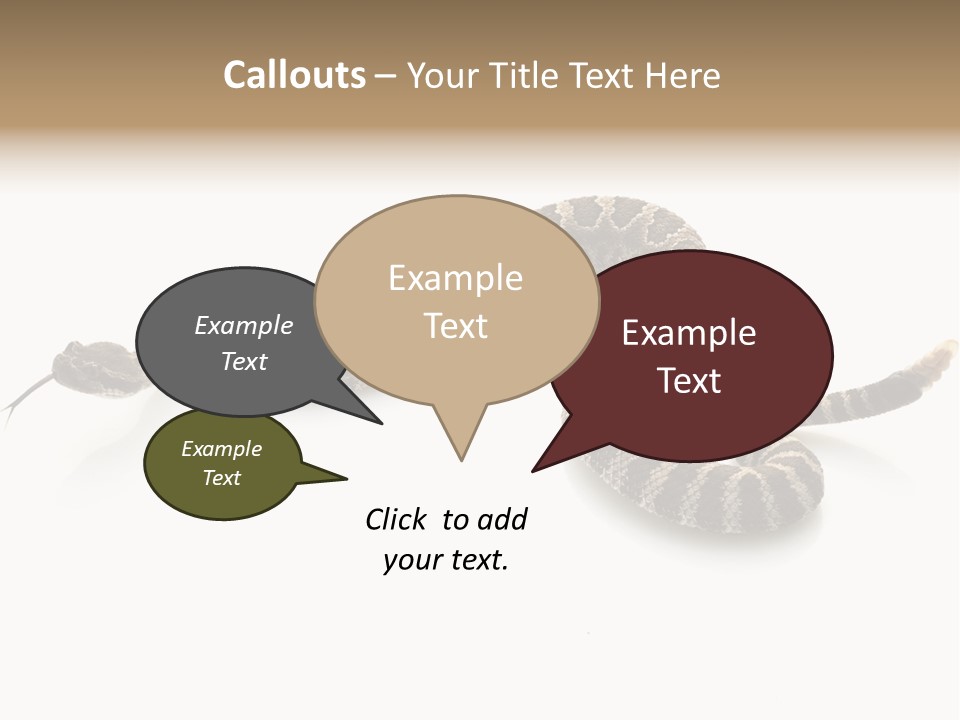 Northern Pacific Rattlesnake (Crotalus Oreganus) Isolated On White Background. PowerPoint Template